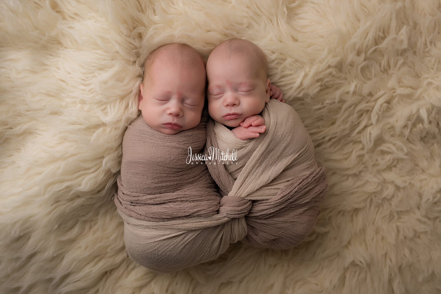 Lambert Twins Newborn Session